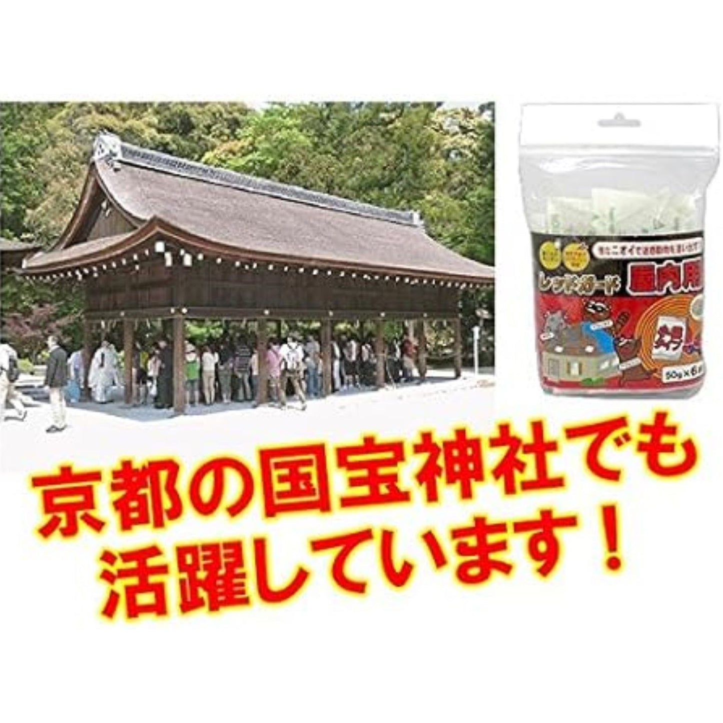 レッドガード屋内用　50g×6袋
