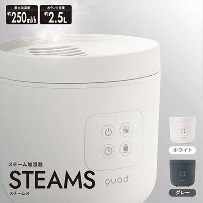 スチーム加湿器2.5L大容量 上部給水 250ml/h 10h連続加湿 ホワイト