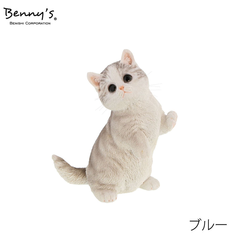 series-qb-009-cat