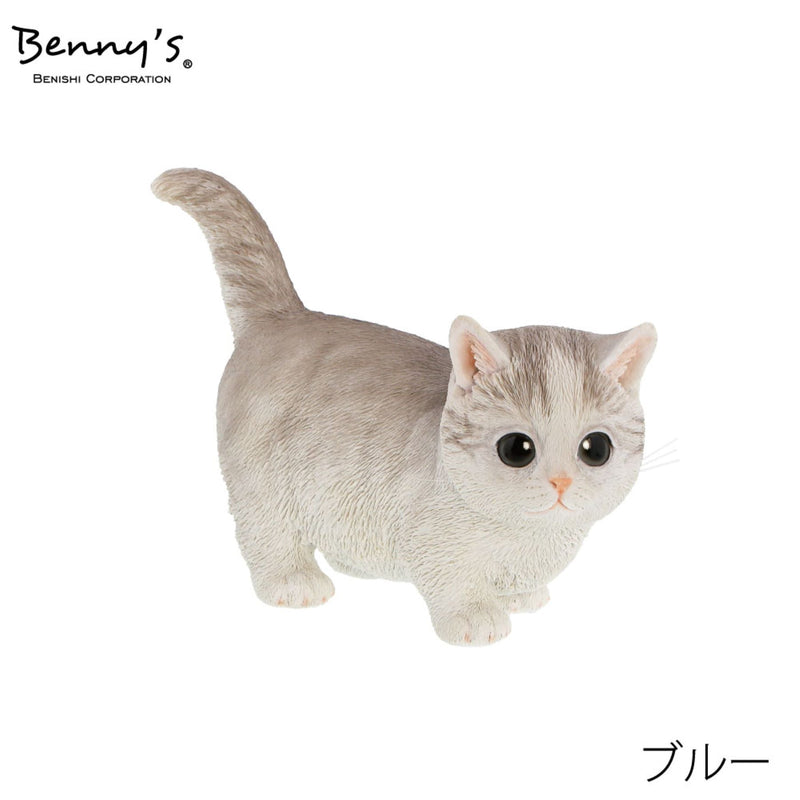 series-qb-010-cat