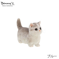 series-qb-011-cat