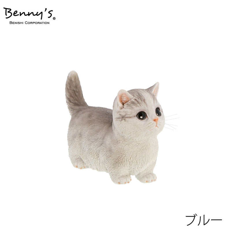 series-qb-011-cat