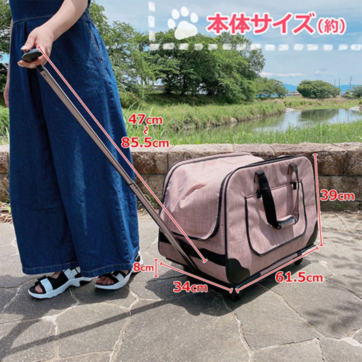 ペットキャリー　バッグ＆カート２ｗａｙ　折り畳める　中型犬まで対応　ブラウン