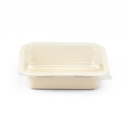 ＥＣＯ＆ＢＡＳＩＣ　バガス　スクエアコンテナ　専用フタ　５０入