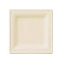 series-eco-basic-bagas-plate-2