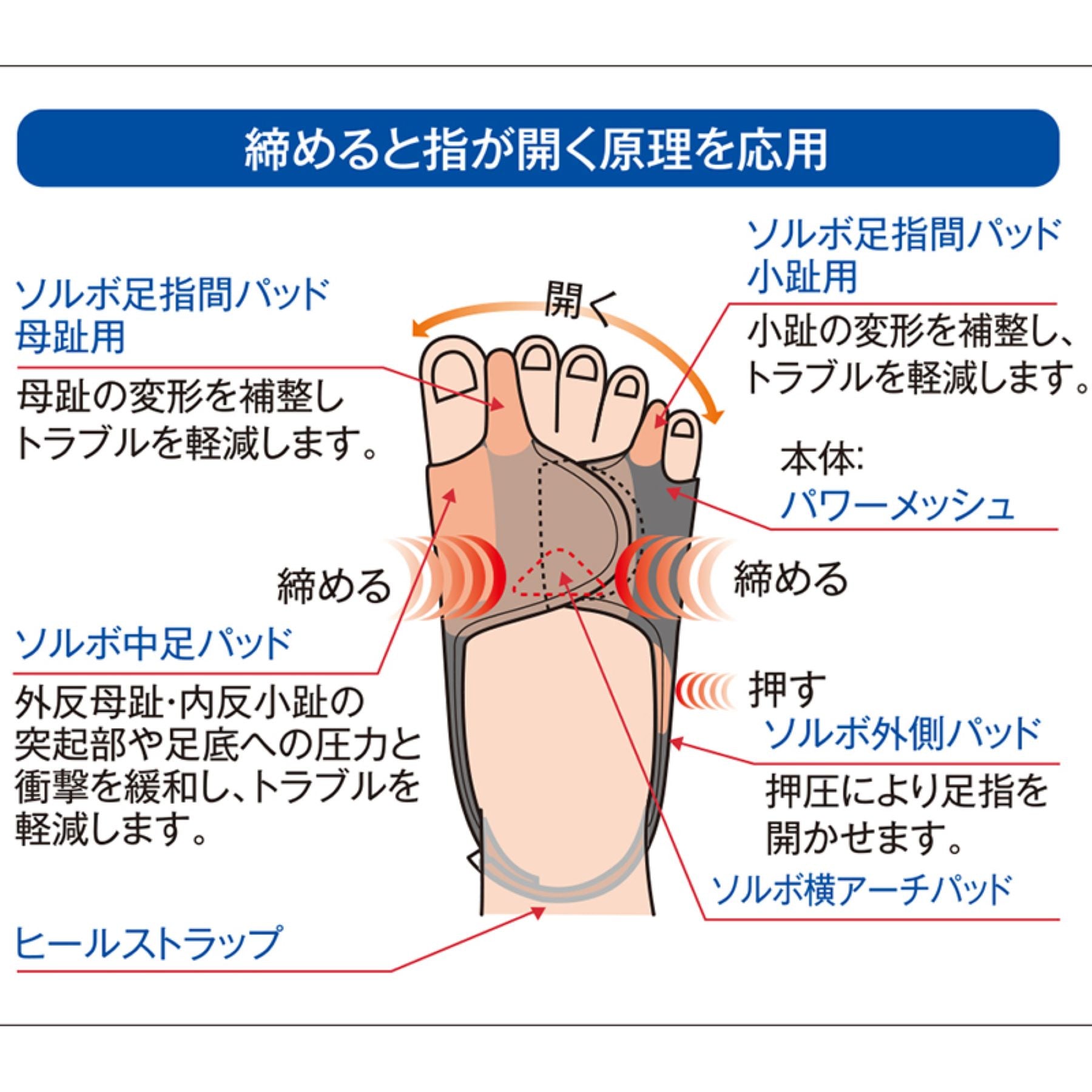 Amazon | ソルボ外反母趾・内反少趾サポーター固定薄型メッシュタイプ 左L | ソルボ | 外反母趾・内反小趾用