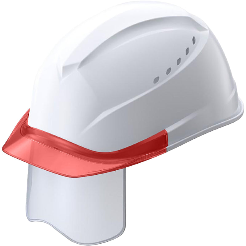 series-tanizawa-clear-visor-st01230vj