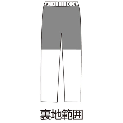 おしりスルッとパンツ　抗菌防臭　ゆったり　ずり落ち防止　春夏　婦人用　ＧＹ　Ｌ