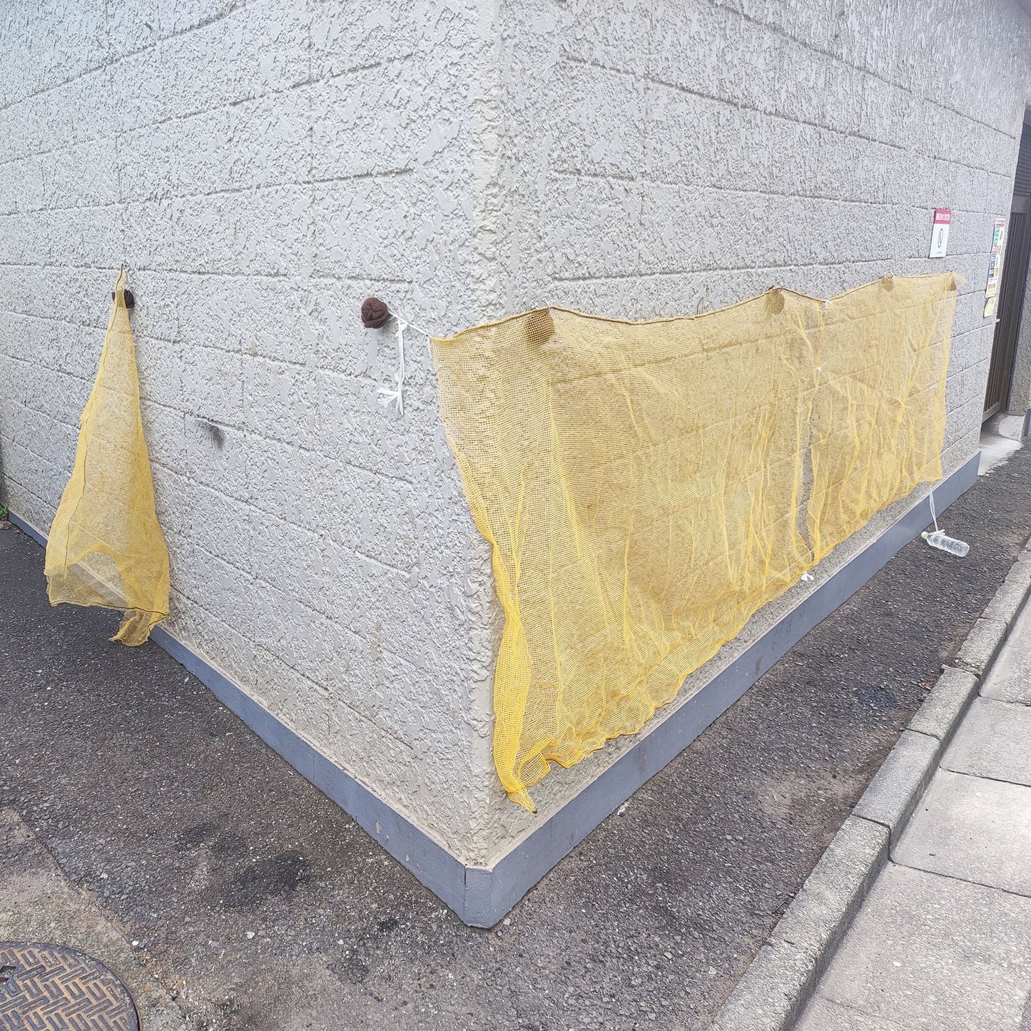 鳥よけネット（１ｍ×１ｍ）