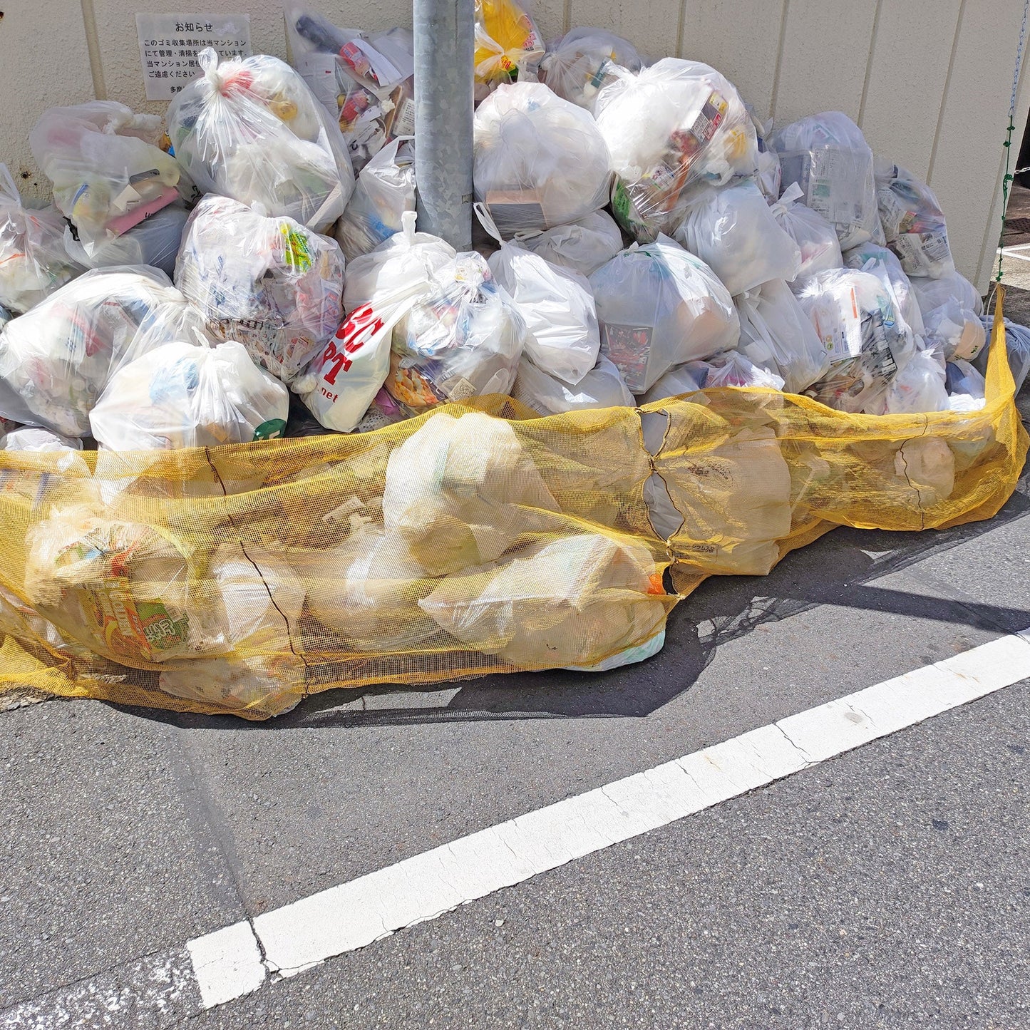 鳥よけネット（１ｍ×１ｍ）