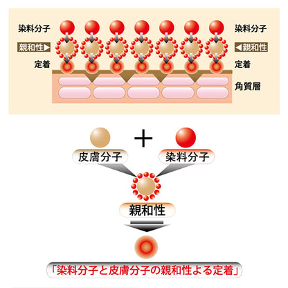 落ちない口紅　紅撫子　べになでしこ　うる艶　コラーゲン　リップ　上品　桃桜色
