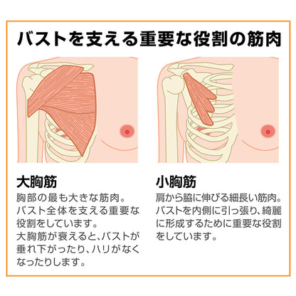 オムニ　バストケア美容器　ヴァージンバストグラント　育乳　美乳　産後