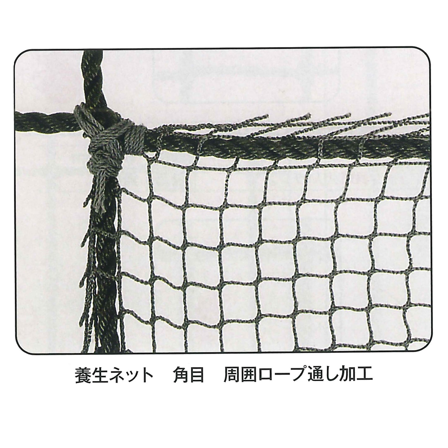 養生ネット　エステル３０ｍｍグリーン（２２００Ｔ／５）　５ｘ５ｍ