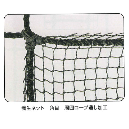 養生ネット　エステル３０ｍｍグリーン（２２００Ｔ／５）　５ｘ１０ｍ