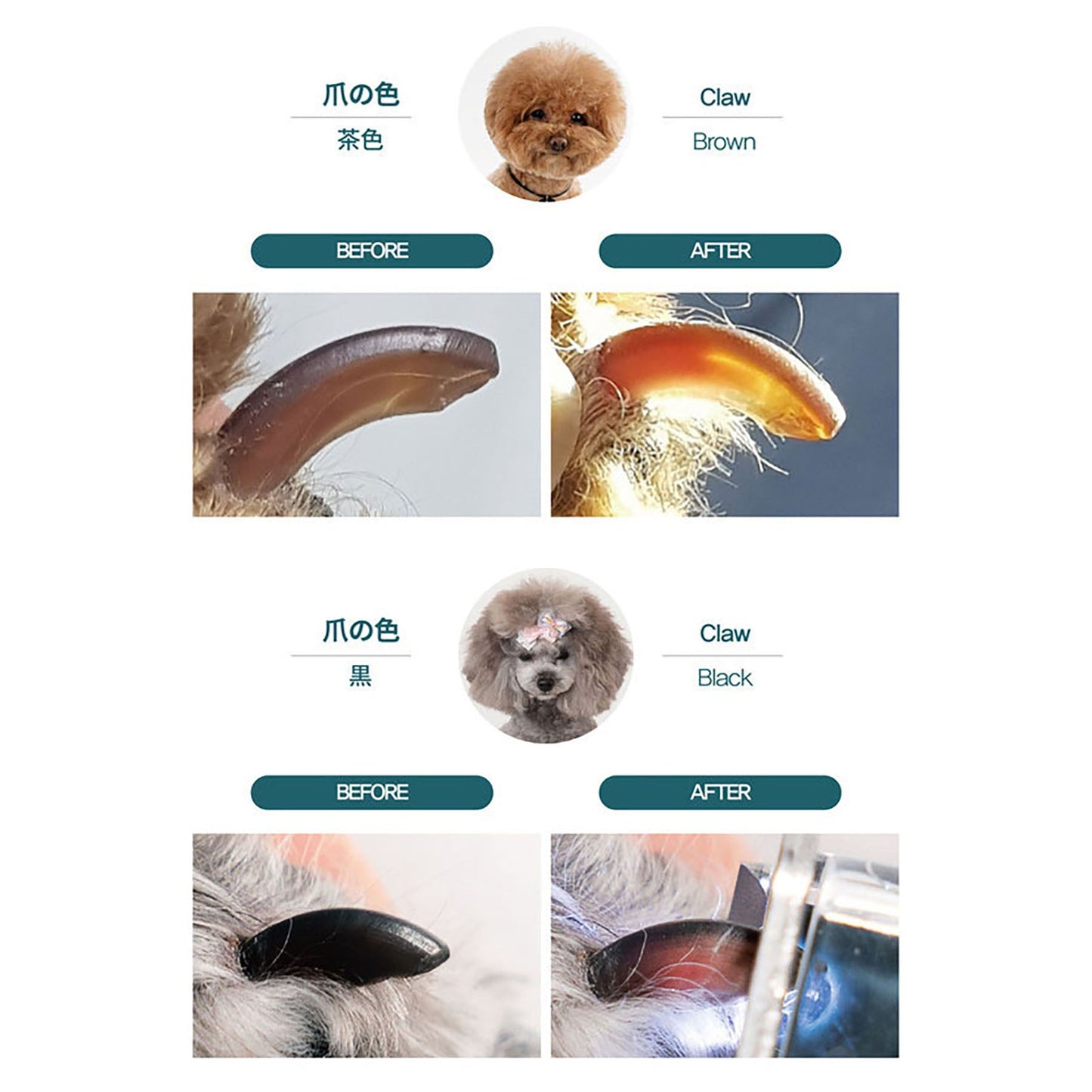 犬猫用爪切り　ルカット　ブルー