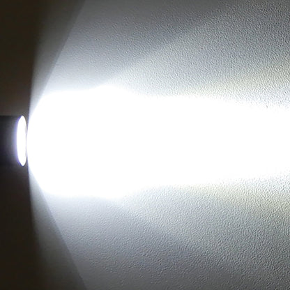 ［単４ｘ２本］　フラッシュライト／ＬＥＤ（黒）