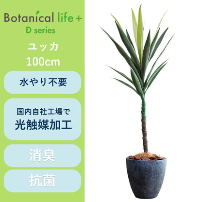 光触媒インテリアグリーン　ユッカ　観葉植物　高さ１００ｃｍ