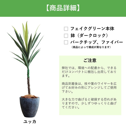 光触媒インテリアグリーン　ユッカ　観葉植物　高さ１００ｃｍ