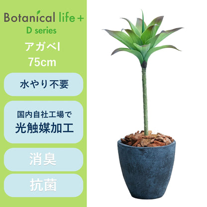 光触媒インテリアグリーン　アガベⅠ　観葉植物　高さ７５ｃｍ