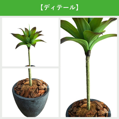 光触媒インテリアグリーン　アガベⅠ　観葉植物　高さ７５ｃｍ