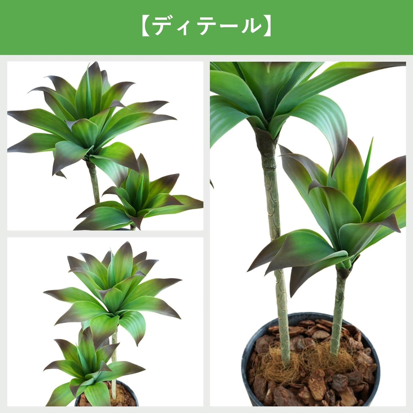 光触媒インテリアグリーン　アガベⅡ　観葉植物　高さ１００ｃｍ