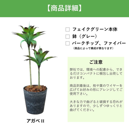 光触媒インテリアグリーン　アガベⅡ　観葉植物　高さ１００ｃｍ