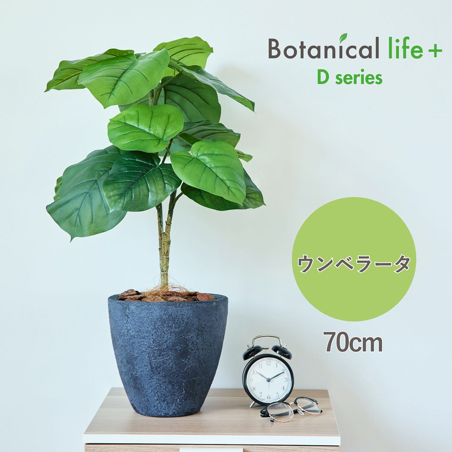 光触媒インテリアグリーン　ウンベラータ　観葉植物　高さ７０ｃｍ
