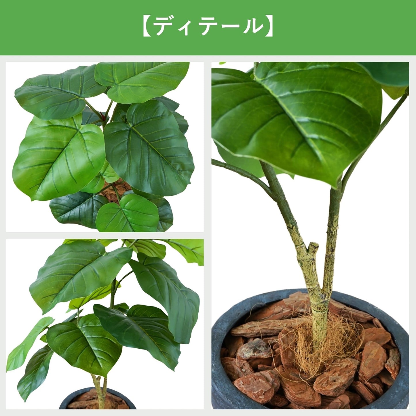 光触媒インテリアグリーン　ウンベラータ　観葉植物　高さ７０ｃｍ