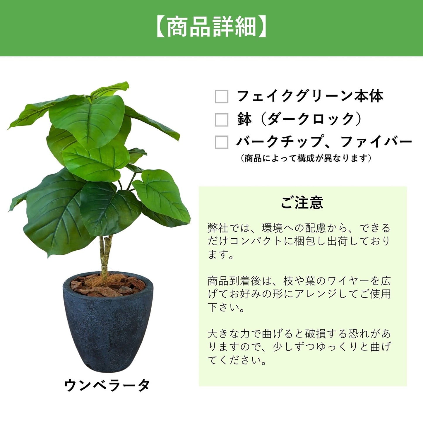 光触媒インテリアグリーン　ウンベラータ　観葉植物　高さ７０ｃｍ