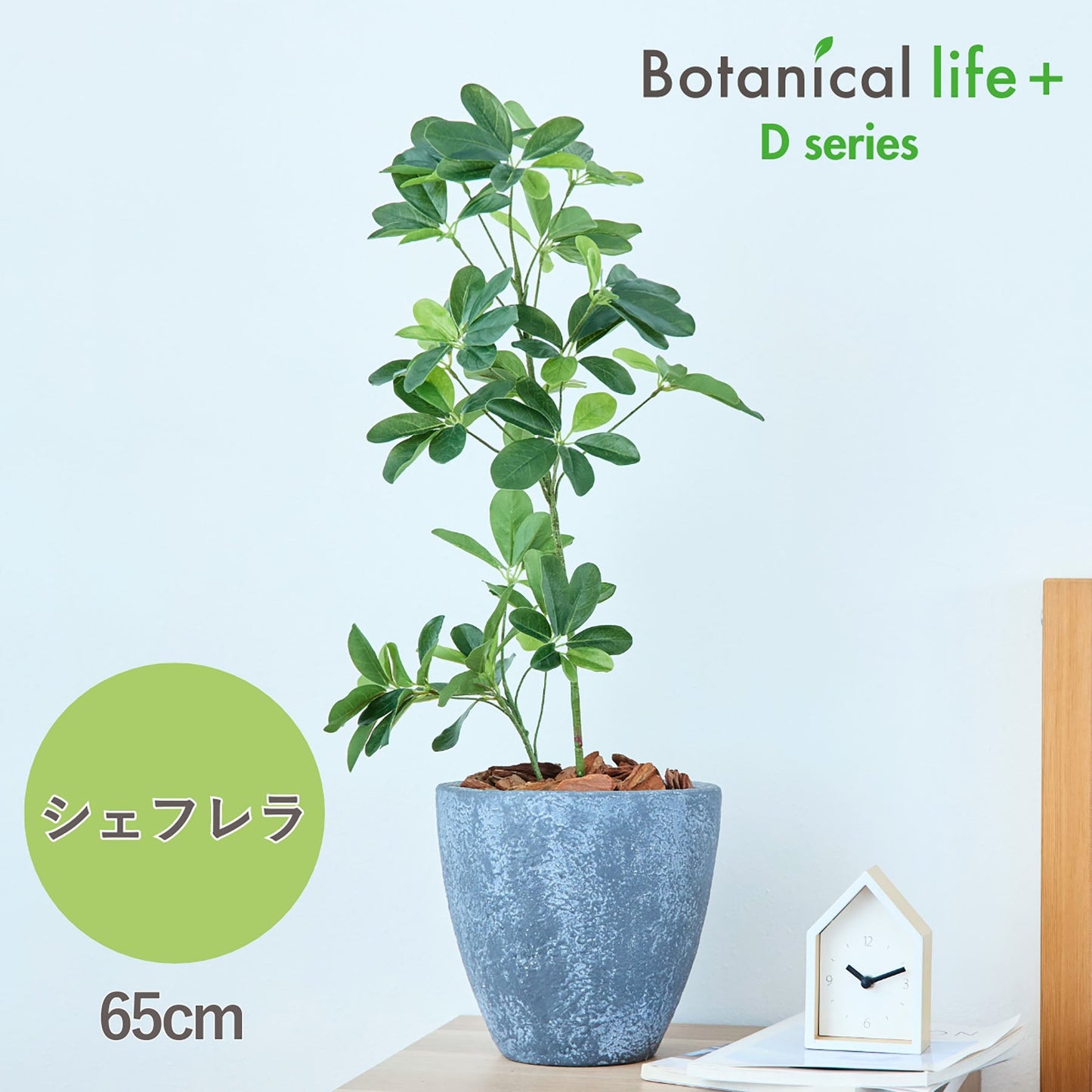 光触媒インテリアグリーン　シェフレラ　観葉植物　高さ６５ｃｍ