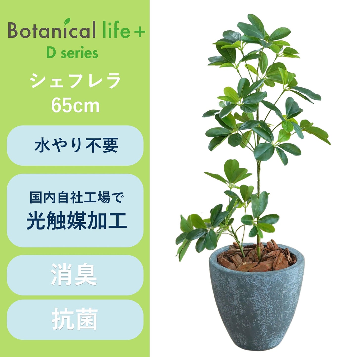 光触媒インテリアグリーン　シェフレラ　観葉植物　高さ６５ｃｍ