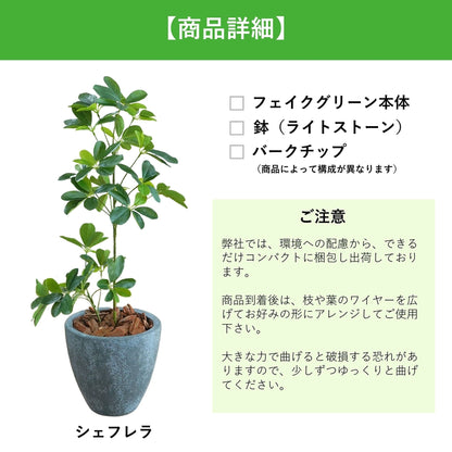 光触媒インテリアグリーン　シェフレラ　観葉植物　高さ６５ｃｍ