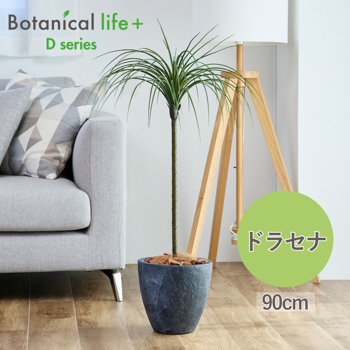 光触媒インテリアグリーン　ドラセナ（細）　観葉植物　高さ９０ｃｍ