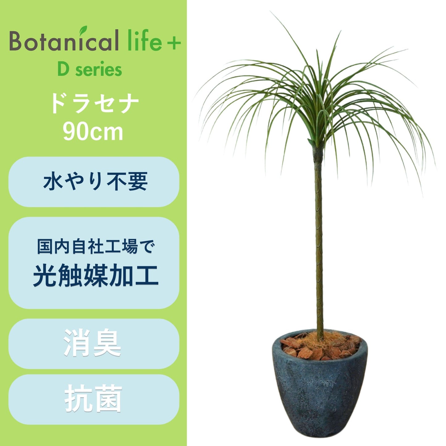 光触媒インテリアグリーン　ドラセナ（細）　観葉植物　高さ９０ｃｍ