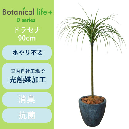 光触媒インテリアグリーン　ドラセナ（細）　観葉植物　高さ９０ｃｍ