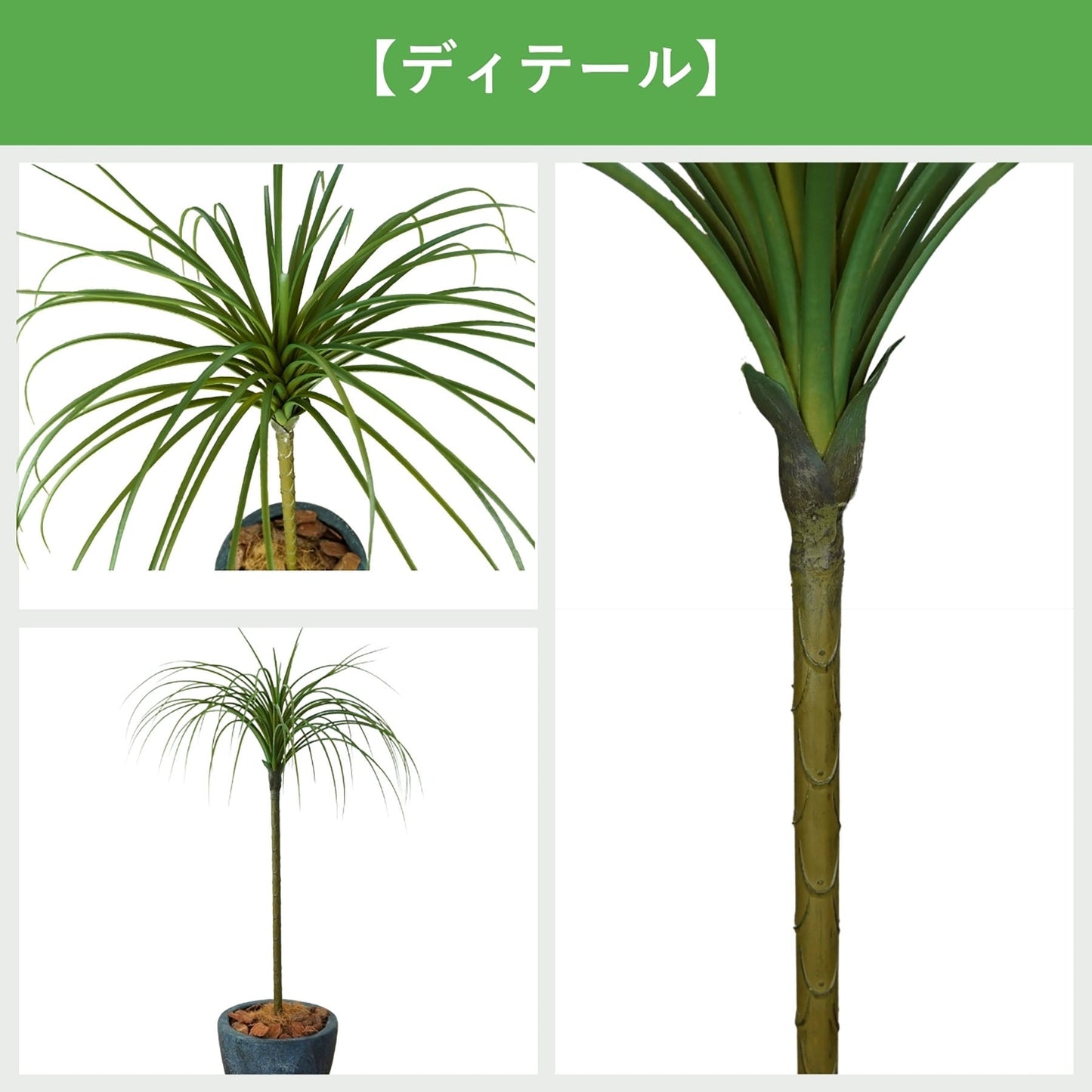 光触媒インテリアグリーン　ドラセナ（細）　観葉植物　高さ９０ｃｍ