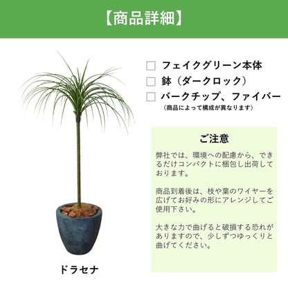 光触媒インテリアグリーン　ドラセナ（細）　観葉植物　高さ９０ｃｍ