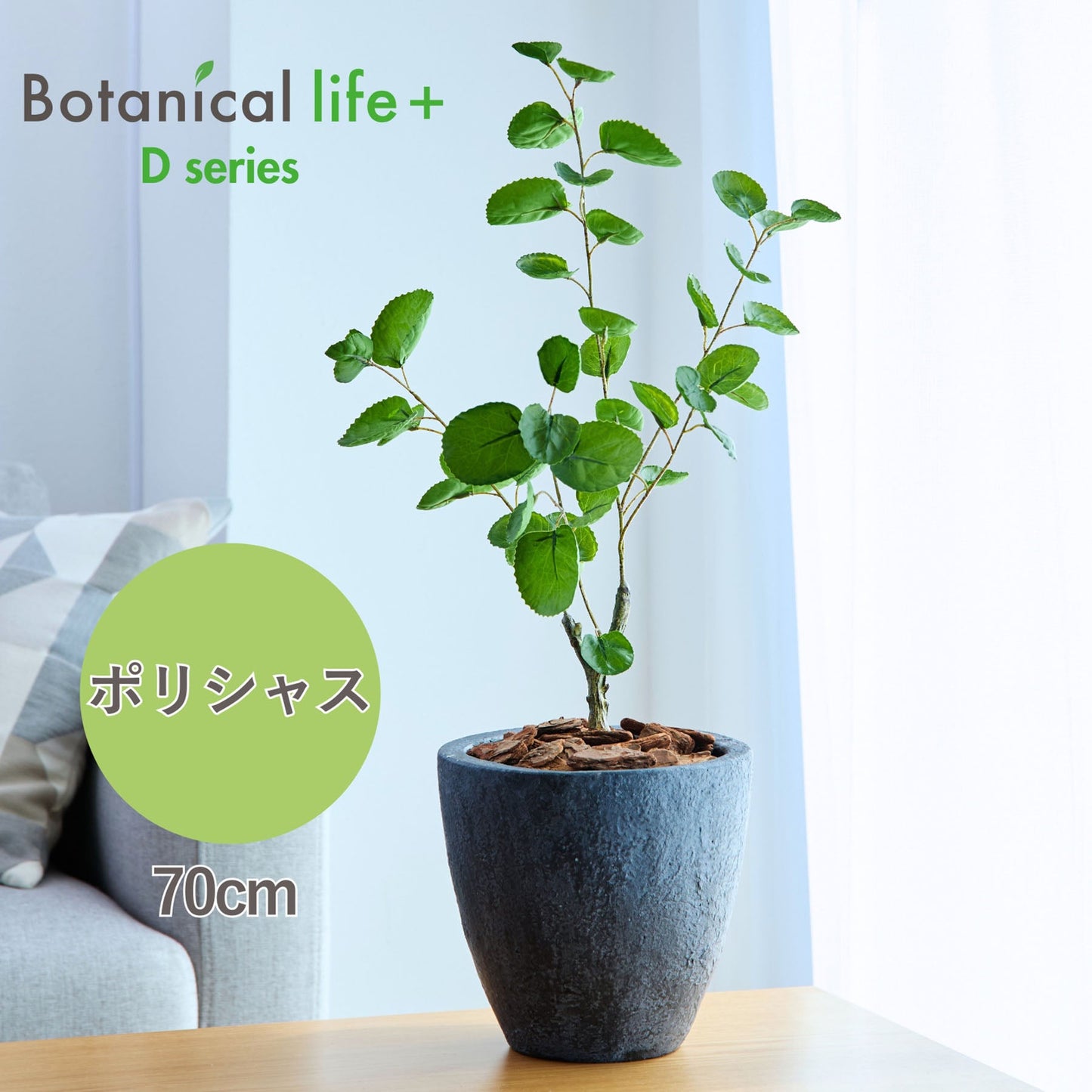 光触媒インテリアグリーン　ポリシャス　観葉植物　高さ７０ｃｍ