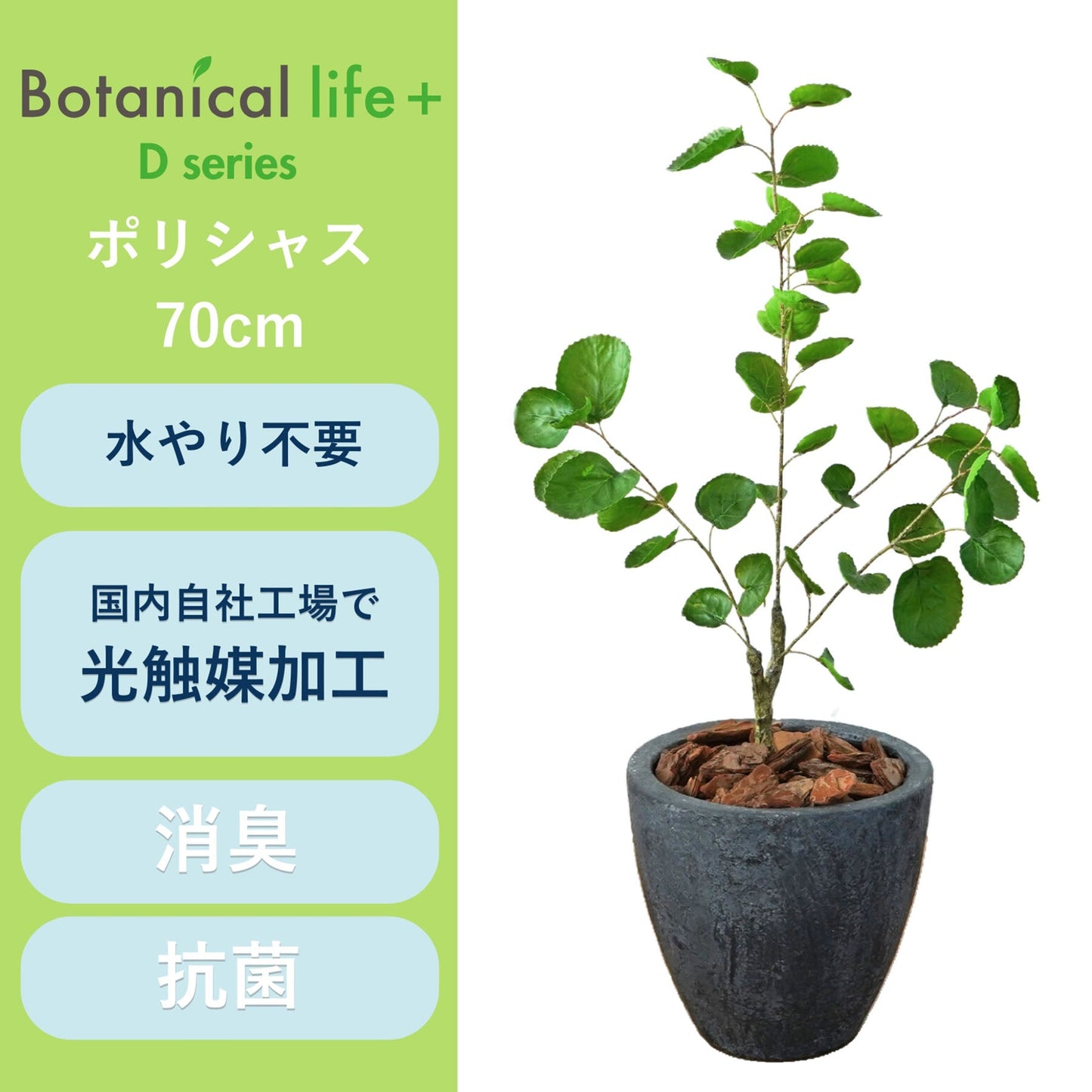 光触媒インテリアグリーン　ポリシャス　観葉植物　高さ７０ｃｍ