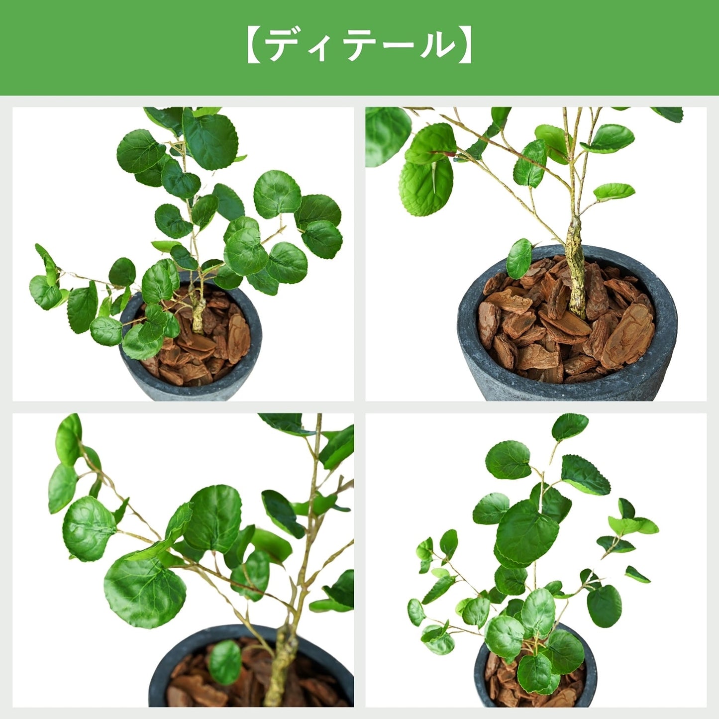 光触媒インテリアグリーン　ポリシャス　観葉植物　高さ７０ｃｍ