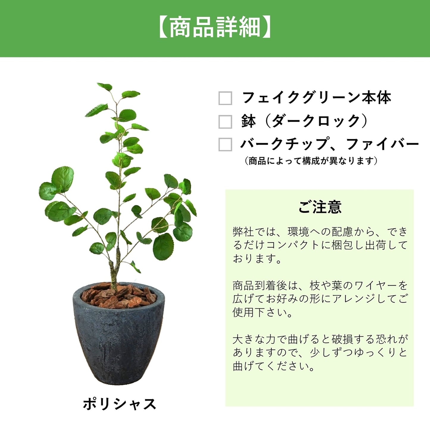 光触媒インテリアグリーン　ポリシャス　観葉植物　高さ７０ｃｍ