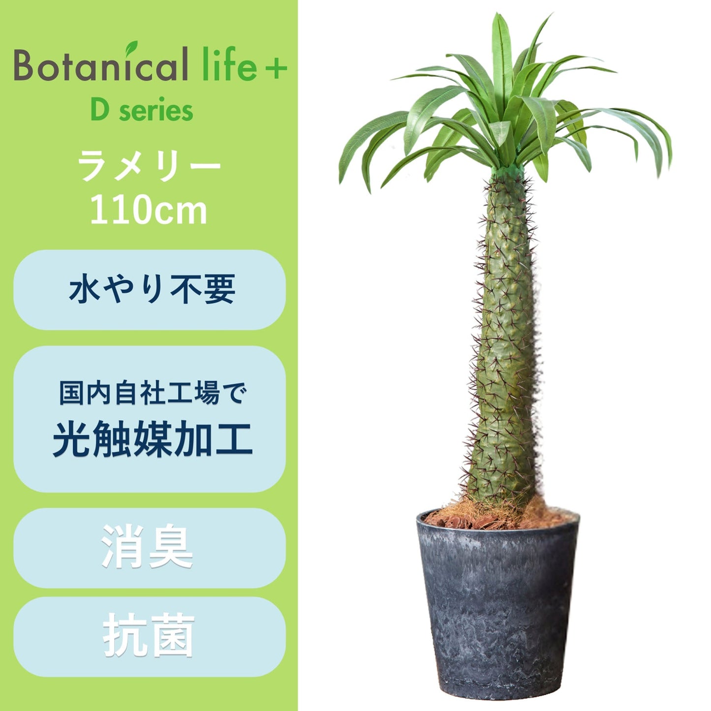 光触媒インテリアグリーン　ラメリー　観葉植物　高さ１１０ｃｍ