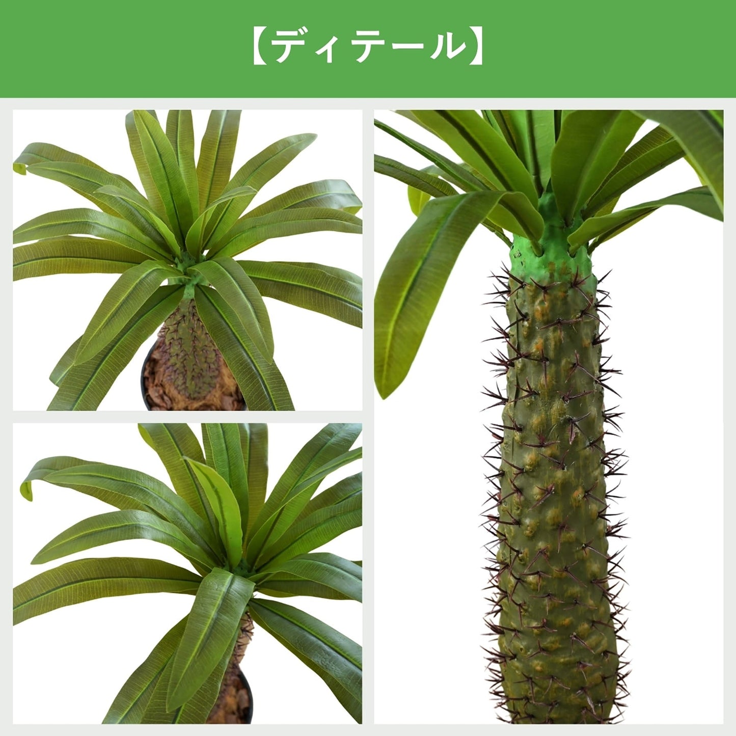 光触媒インテリアグリーン　ラメリー　観葉植物　高さ１１０ｃｍ