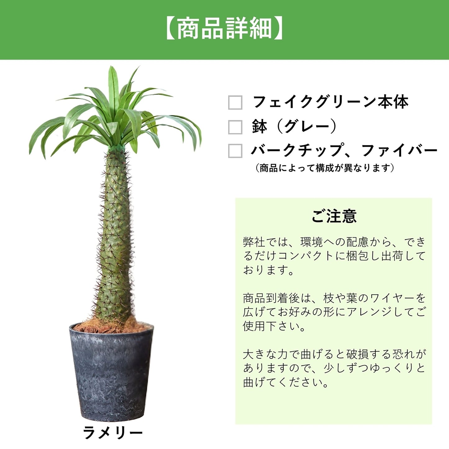 光触媒インテリアグリーン　ラメリー　観葉植物　高さ１１０ｃｍ