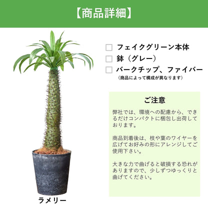 光触媒インテリアグリーン　ラメリー　観葉植物　高さ１１０ｃｍ