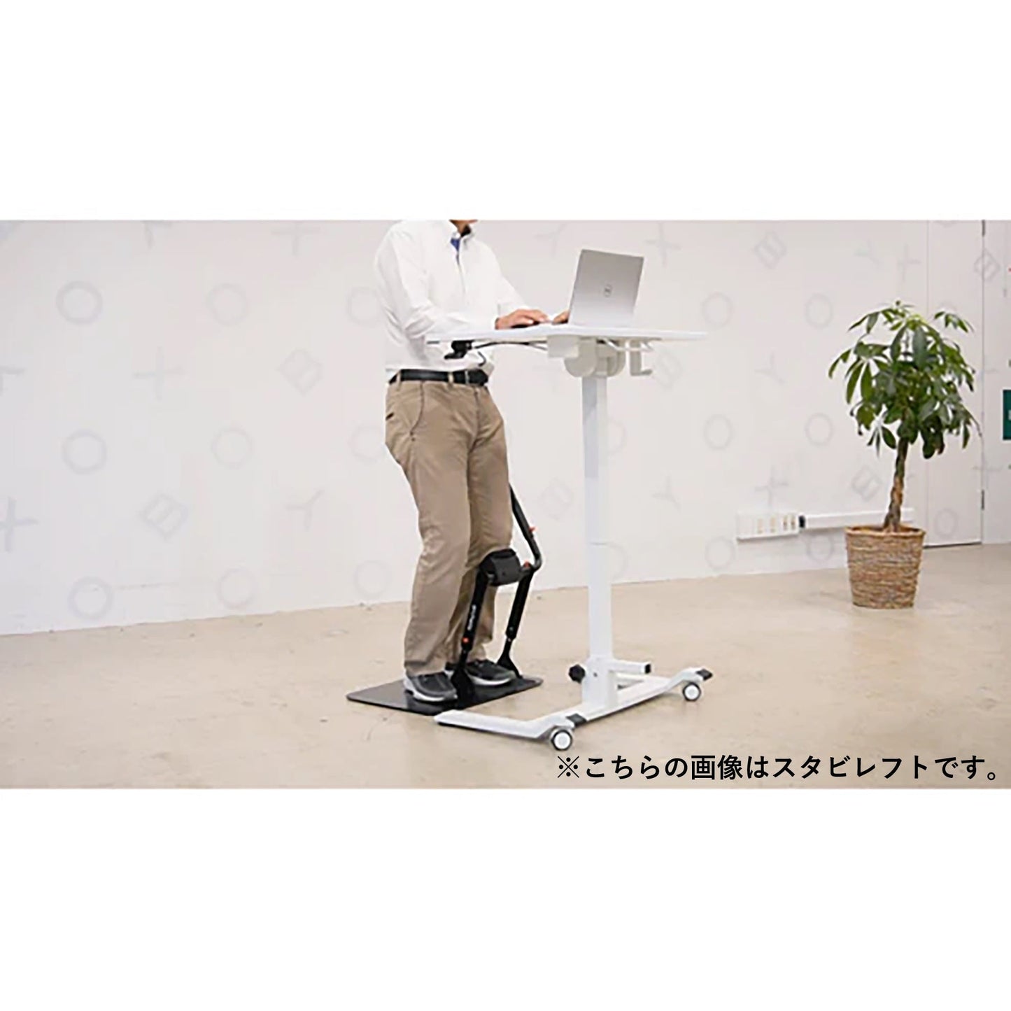 アルケリス　立ち仕事サポート　スタビライト