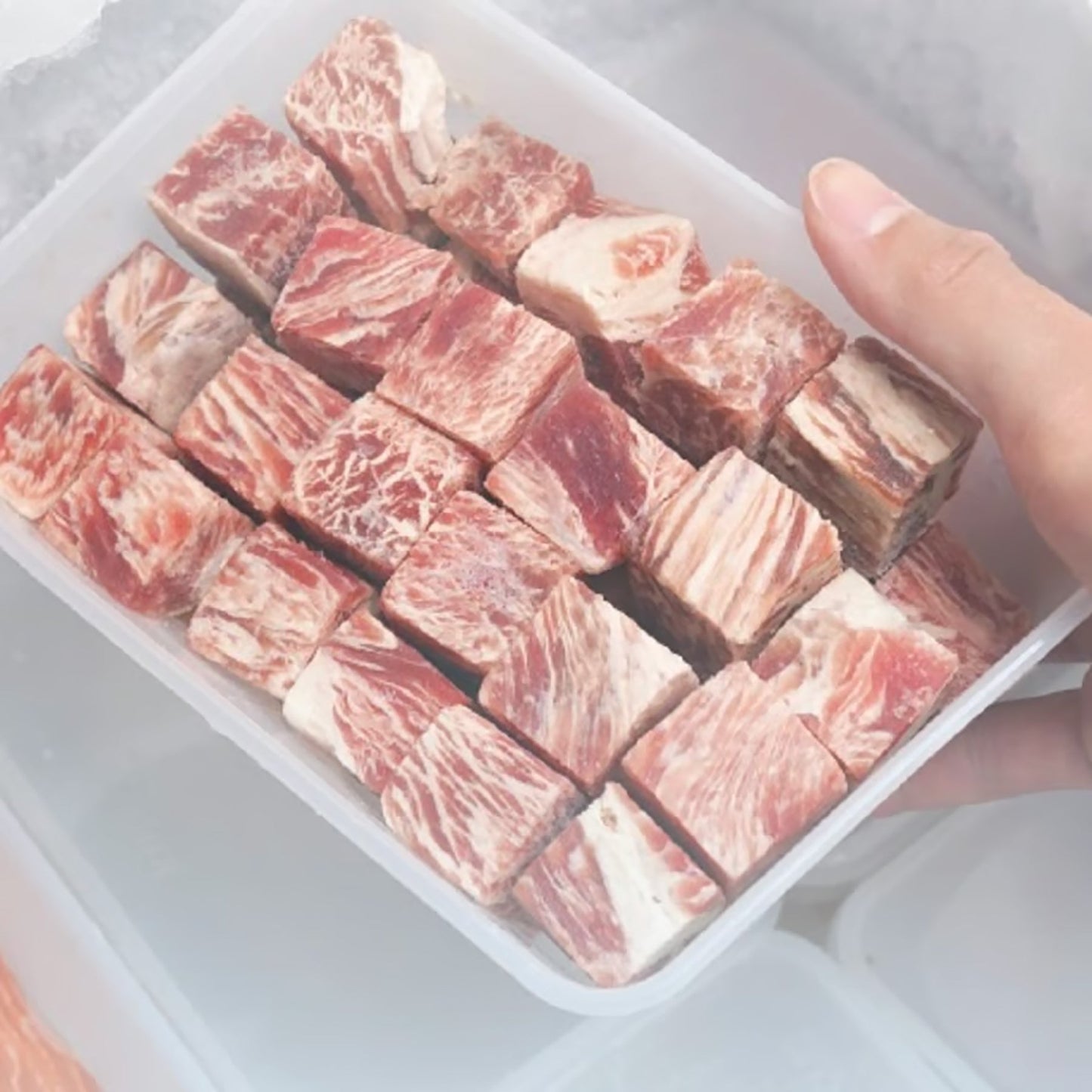 Ｋｉｉｐ　ＳＬａｐｐｅＲ　キープスラッパー　保存容器　長方形　Ｆｒｏｚｅｎタイプ　６５０ｍｌ　２５０個入り