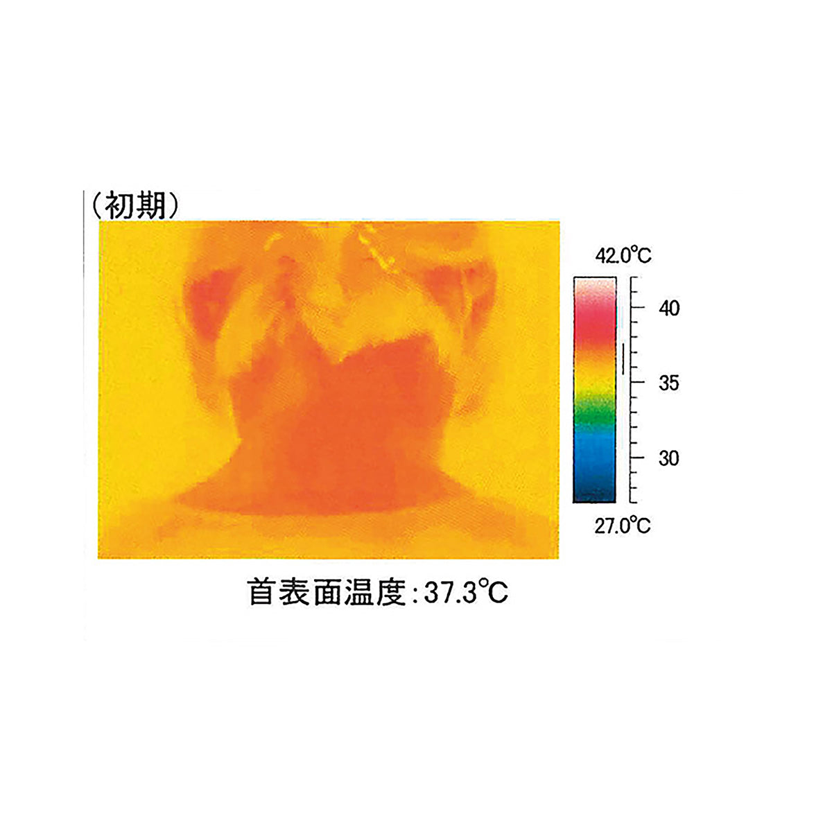新素材ネッククーラーペンタクルー