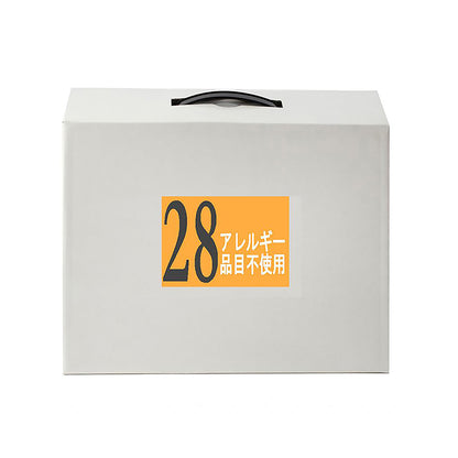 アレルギー２８品目不使用非常食セットＤ