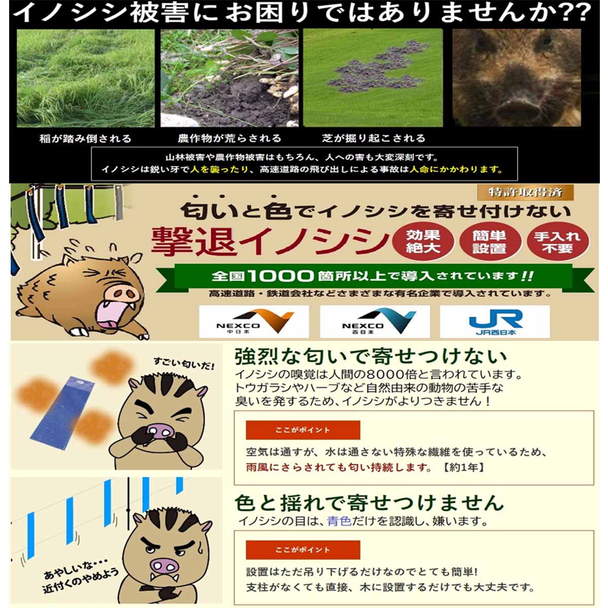 撃退シリーズ　イノシシ10ｍ用10個入
